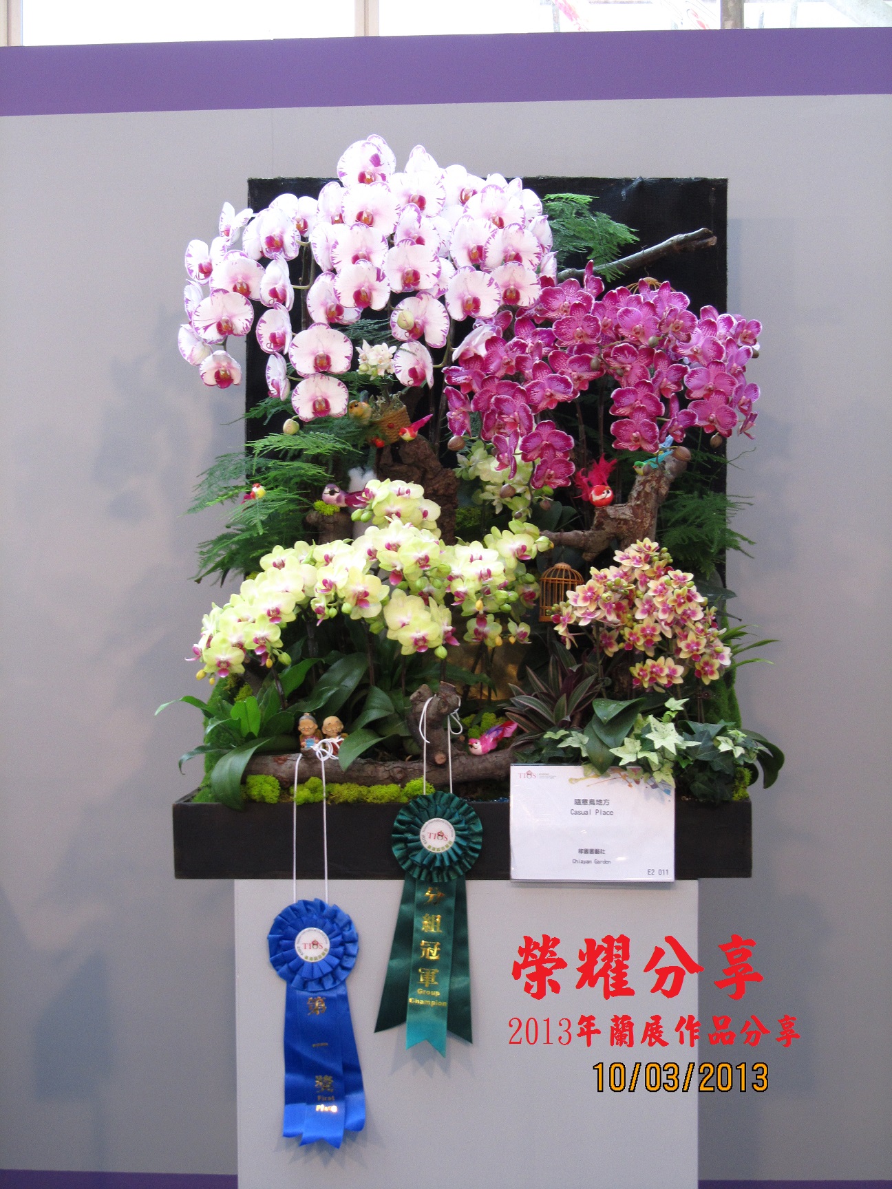 2013年台灣國際蘭展比賽作品展